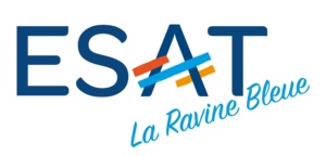 ESAT La Ravine Bleue POINTE NOIRE, 