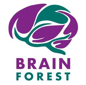 Brain Forest, Neurofeedback thérapeutique, Barbara Meudon, 